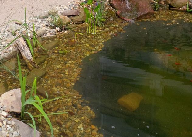 Preview: PVC Teichfolie 0,8 mm schwarz - Restposten    8x4 m 3,69€/m²